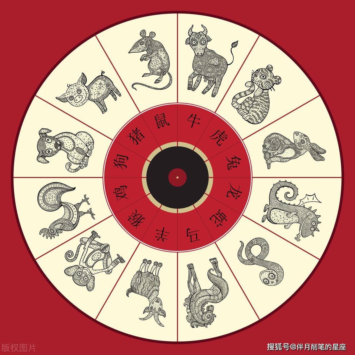 树若无花难结果实,误入奇途无所得是什么生肖，全面解答解释落实_xck61.01.04