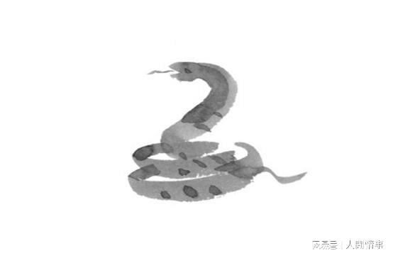 树若无花难结果实,误入奇途无所得是什么生肖，全面解答解释落实_xck61.01.04