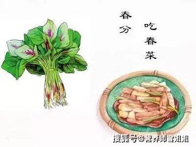 春来吃草九分饱是什么生肖，实时解答解释落实_sp209.32.95
