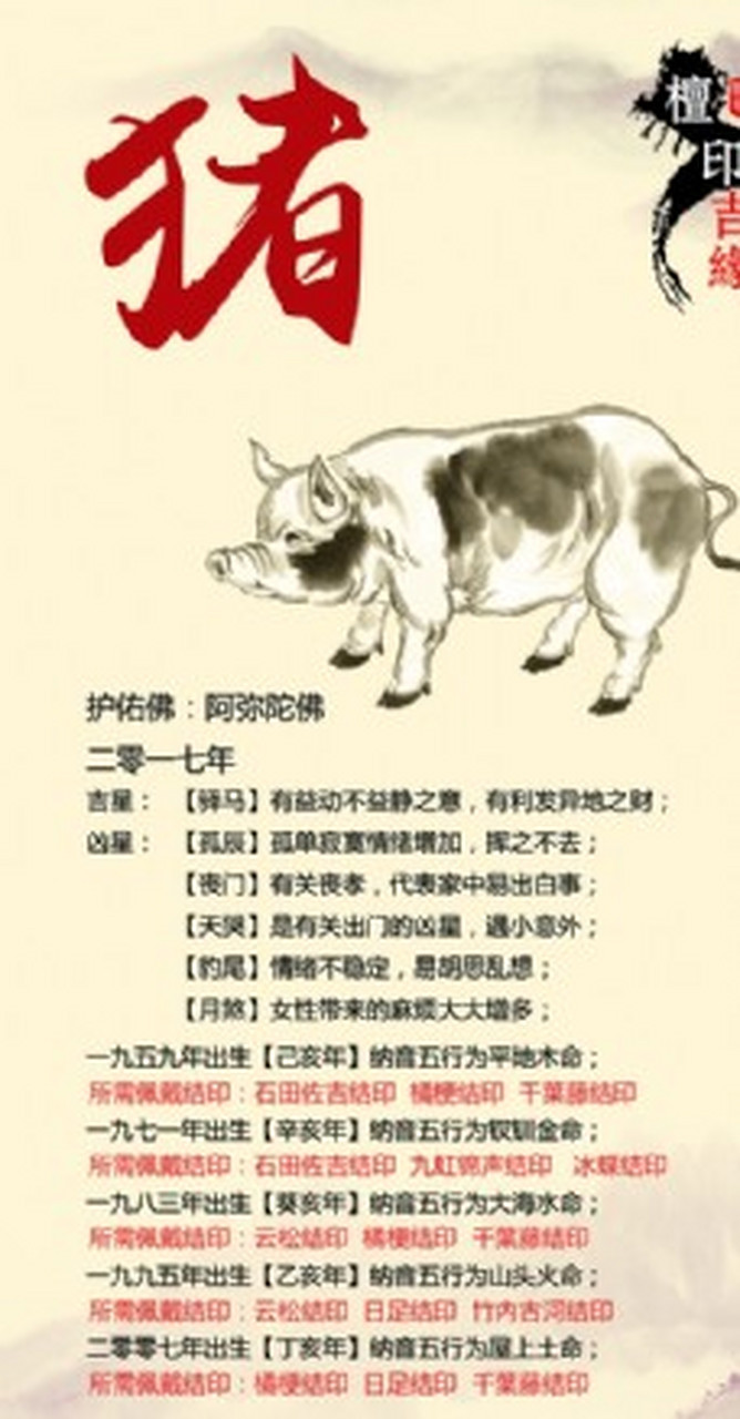 树若无花难结果实,误入奇途无所得是什么生肖，全面解答解释落实_xck61.01.04