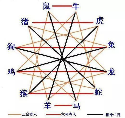透风之墙三六补是什么生肖，详细解答解释落实_1d91.75.10