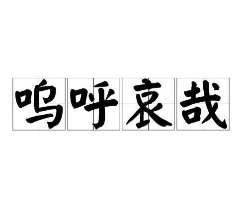 呜呼哀哉代表什么生肖，实时解答解释落实_mu03.35.32