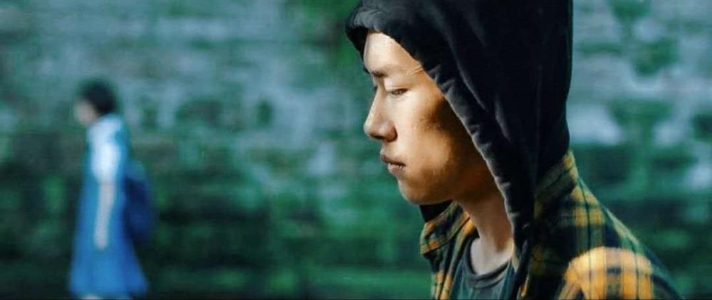 树若无花难结果实,误入奇途无所得是什么生肖，科学解答解释落实_3q52.39.11