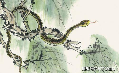 日伏夜出害众生三三上台五转回打一精选生肖，精准解答解释落实_fiv03.57.08