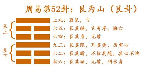 绝不徇私涓滴归公打一生肖，深度解答解释落实_kk17.64.18