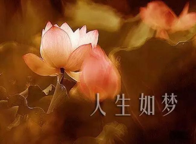 忆苦思甜纯属妄想说是人生梦一场是什么生肖，前沿解答解释落实_vq60.25.73