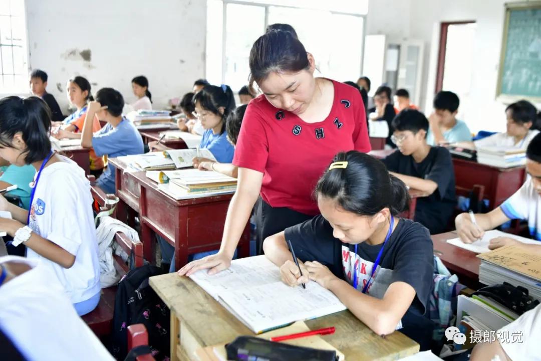 山花红紫树高低始知锁向金笼听打一生肖，专家解答解释落实_5y91.42.32
