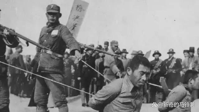 叛徒大将称兄弟打一准确生肖，统计解答解释落实_y148.46.83