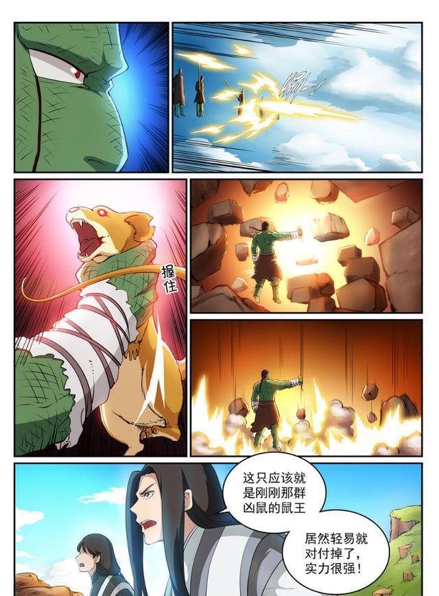 树若无花难结果实,误入奇途无所得是什么生肖，科学解答解释落实_d2e32.42.06