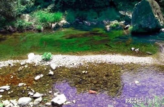 幽咽泉水声叮呼，燕子往南春天来打一个正确生肖，综合解答解释落实_krq33.07.63