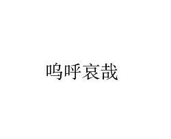 呜呼哀哉代表什么生肖，实时解答解释落实_mu03.35.32