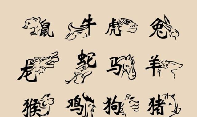 呜呼哀哉代表什么生肖，专家解答解释落实_vz52.06.70