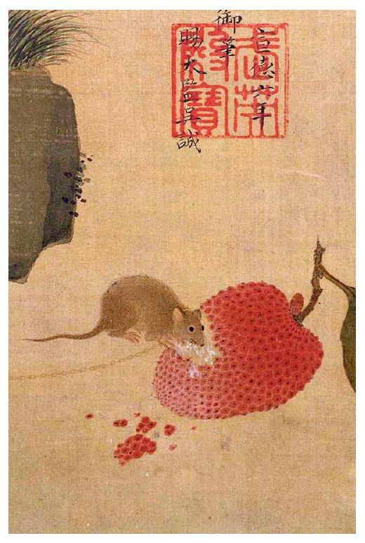 贼眉鼠眼打一正确生肖，前沿解答解释落实_4q003.28.23