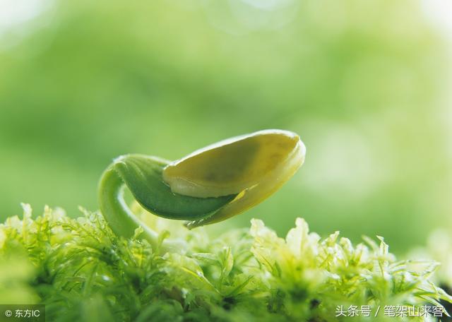 三十六汁莫强求,城楼将军祝捷洒打一个生肖，实时解答解释落实_6oq43.88.85