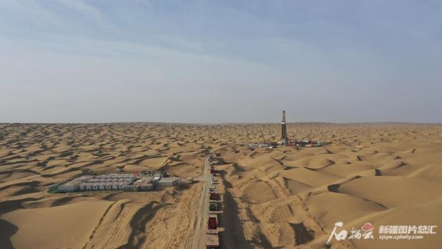 特码出此不为奇，夕科波深难着力。打一个正确生肖，综合解答解释落实_btz02.19.25