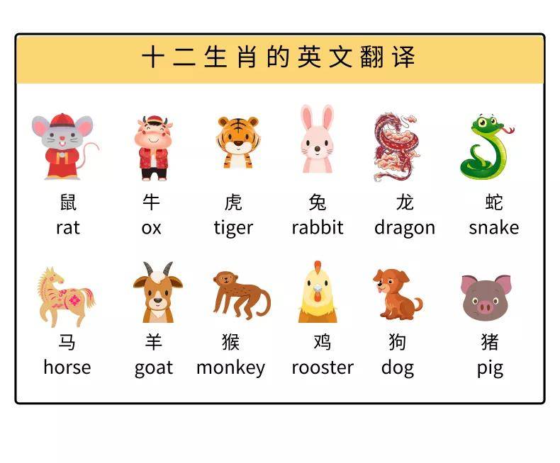 今期生肖讲你知，二十之数有玄机，打一个正确生肖，综合解答解释落实_8wn13.62.13
