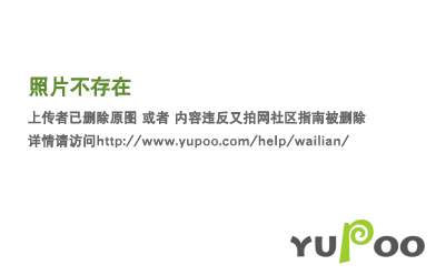 坐井观天打一生肖是指什么生肖，综合解答解释落实_gg90.26.06