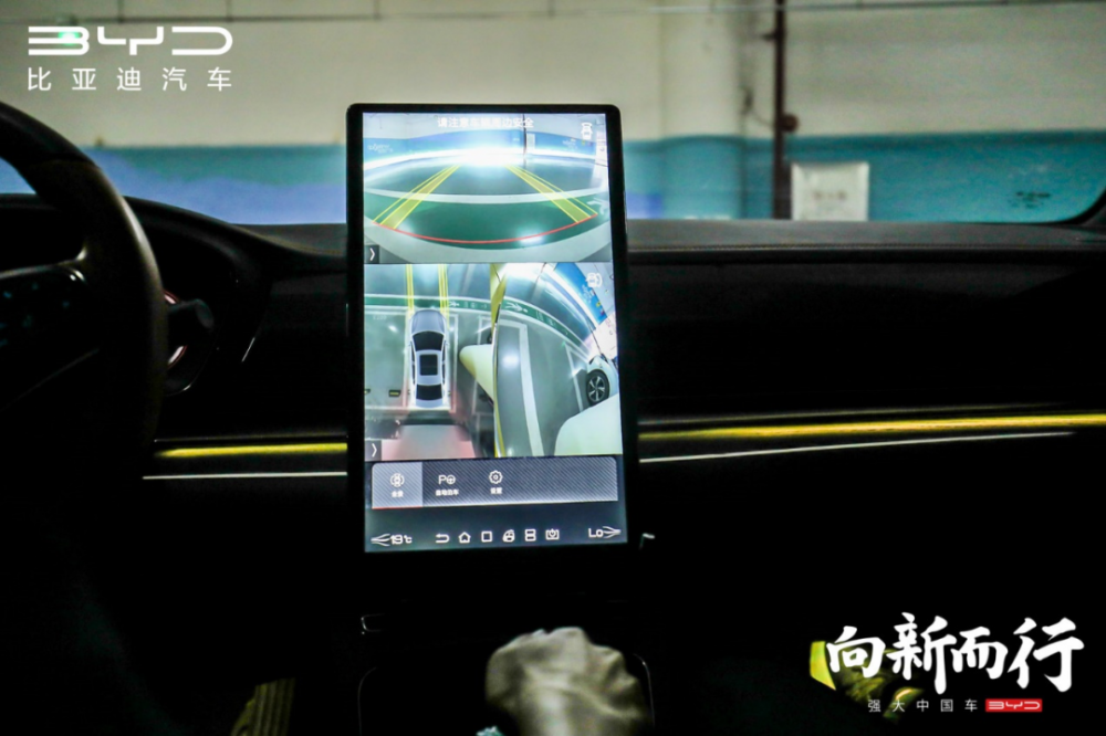 受夹板气打一最佳生肖，构建解答解释落实_5kw42.65.51