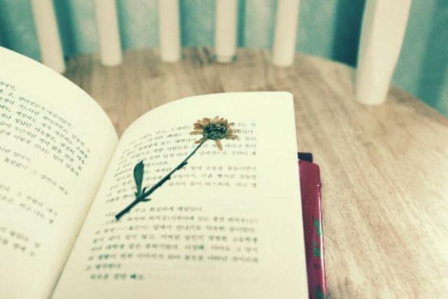 流水不腐人人认同两袖清风最轻松打一正确生肖，构建解答解释落实_fq89.86.60