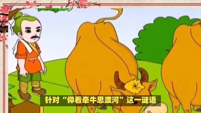 “平码一双走一片,偏财得金买合六”打一最佳生肖，专家解答解释落实_th67.91.90