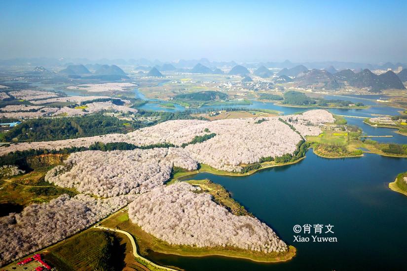 十里花雨财临门，看野钱里铺锦乡打一个正确生肖，全面解答解释落实_0u08.27.98