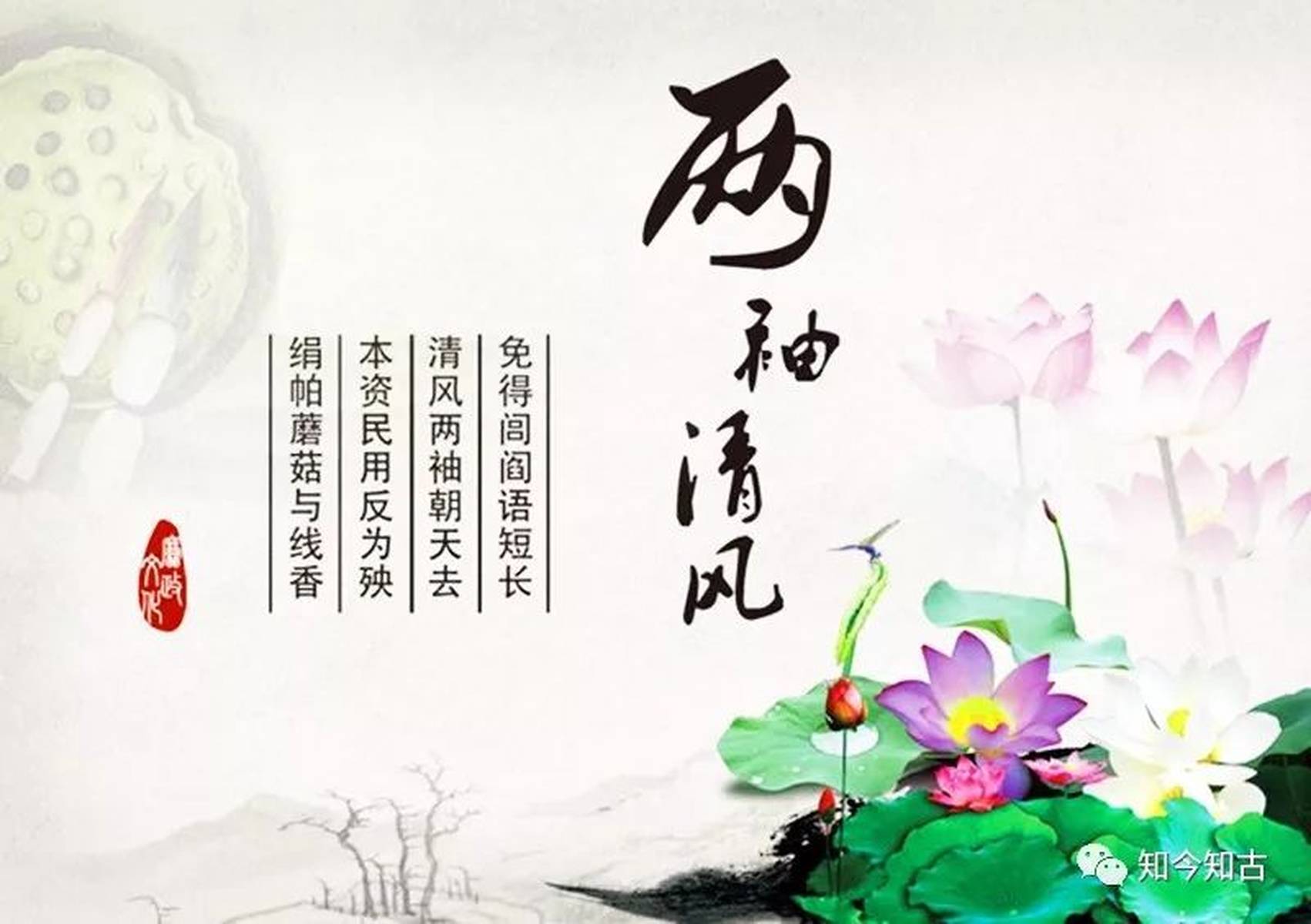 流水不腐人人认同两袖清风最轻松打一正确生肖，详细解答解释落实_gt72.91.40