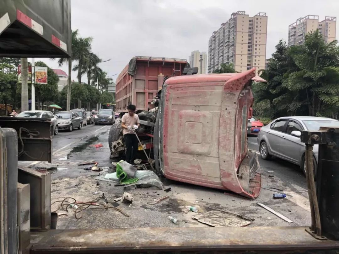 山花红紫树高低始知锁向金笼听打一生肖，深度解答解释落实_ku96.86.50