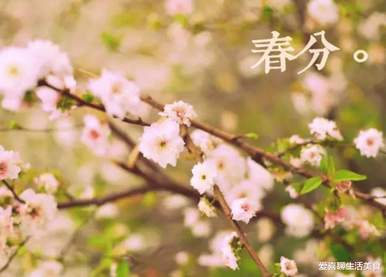 春来吃草九分饱是什么生肖，科学解答解释落实_jw20.49.90
