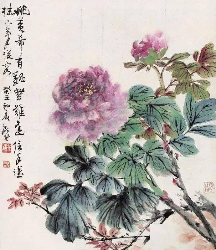 本期生肖三七开,三六今期出头来是打猜一最佳精准生肖，全面解答解释落实_og968.33.50