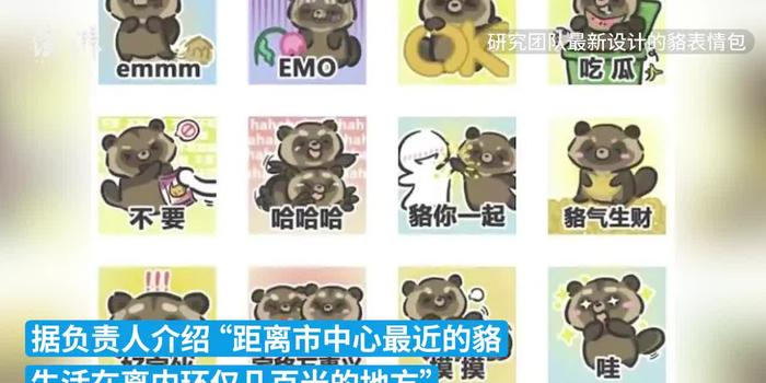不可理喻,無理取鬧。敬而遠之免爭吵!打一个正确生肖，时代解答解释落实_7u19.45.39