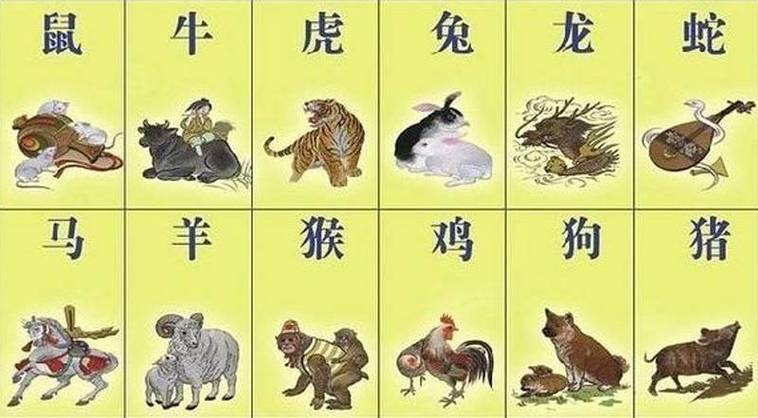 五門之米，足教折腰。醉後不知天在水。打一个正确生肖，统计解答解释落实_8g224.89.52